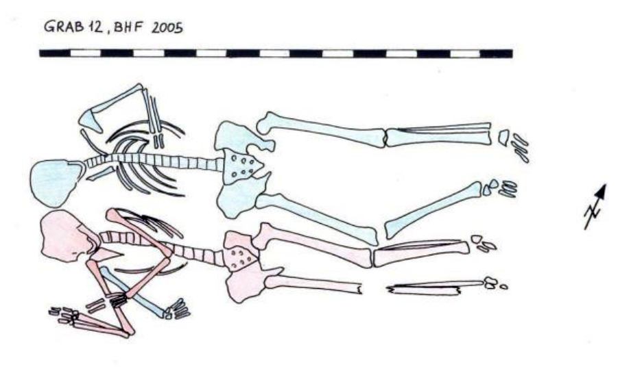 Grabungsbericht Fronius 2010