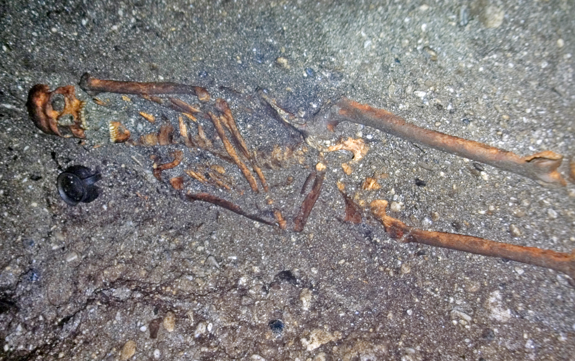 Grabungsbericht Fronius 2010