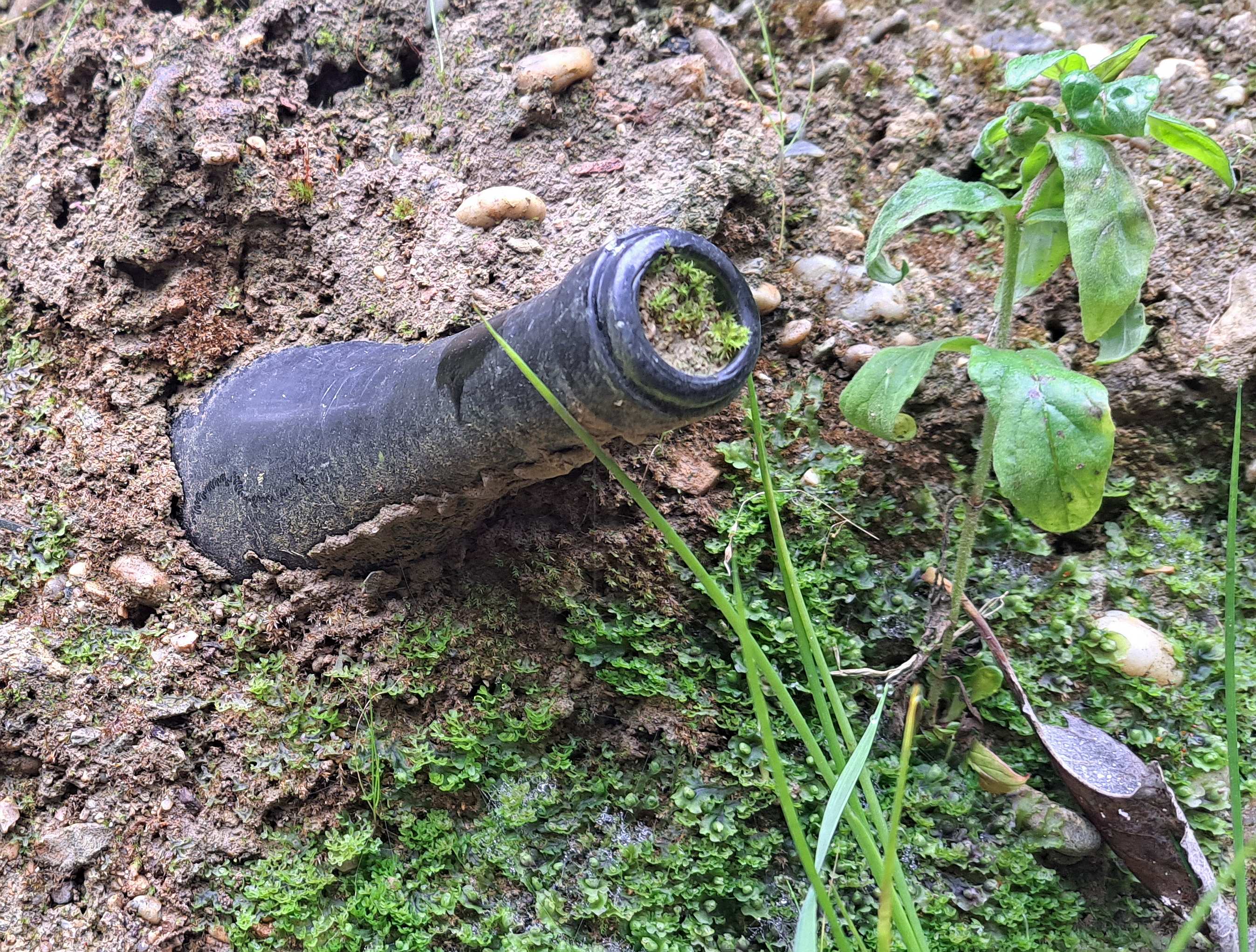 Die verborgene Schlucht – Befunde am Katzenbach, 16.11.2025